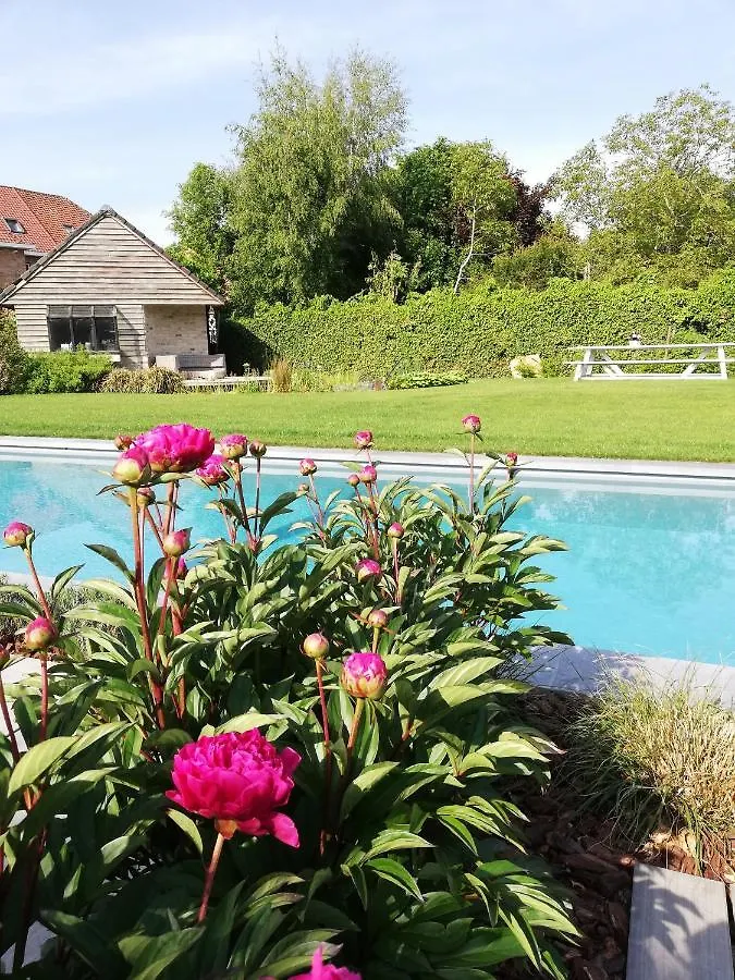 Bed & Breakfast B&B 7T Bruges